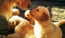 温暖的亲情最值得珍惜