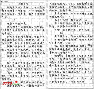 800m长距离构图