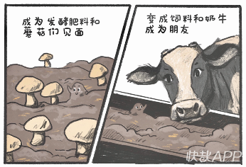 杀虫剂