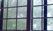 走在充满荆棘的路上