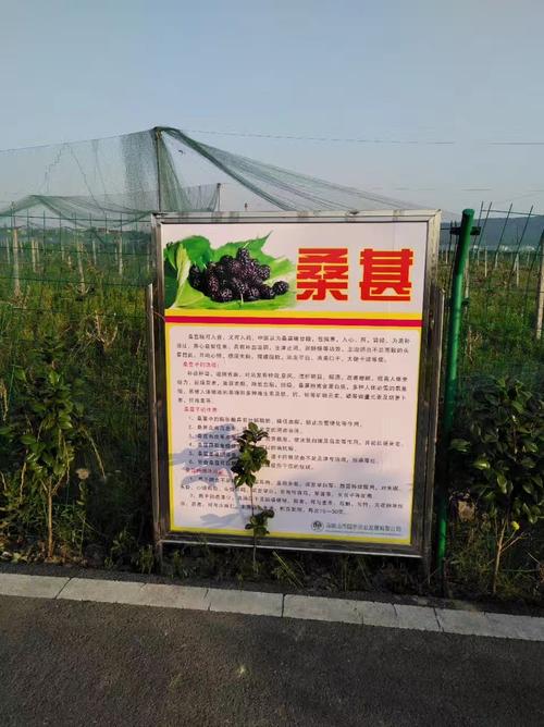 游览小河村