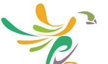 属于青春的颜色