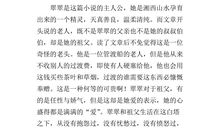 边城读后感600字