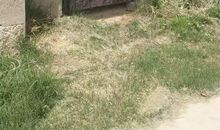 不曾忘记的童年