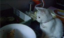 千姿百态全家睡相