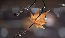 温存那掌心的温度