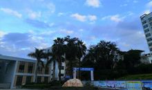 一个安静的午后