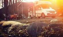 一个激情的正午