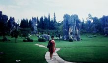 家是幸福的港湾