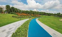 美丽的人才公园