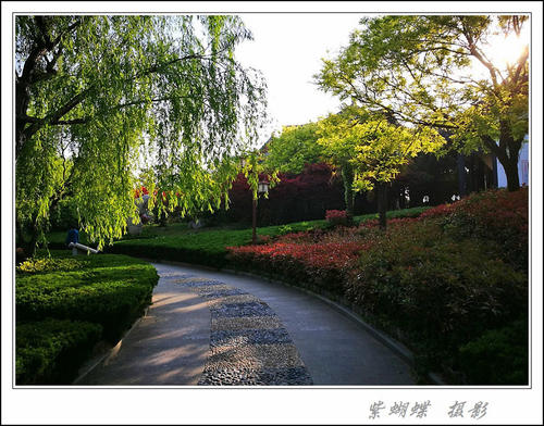 信念，毅力和努力