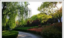 信念、坚持和努力