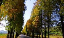 一条乡级公路的真情诉说