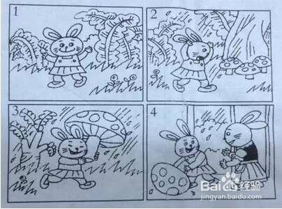 小兔子找朋友看照片写字