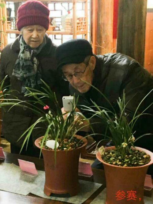我以大自然为我的朋友