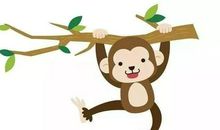 我家的小白兔“骏马”