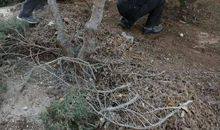 我为创城添把力