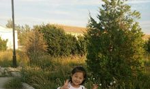 我爱我家的小金鱼