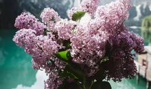 寻求精神上的富足