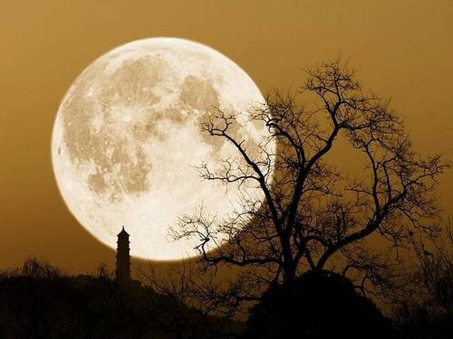 又是中秋之夜