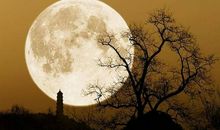 又是一年中秋夜