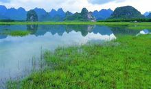 《观墓园》读后感