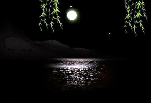 中秋夜雨桂花
