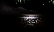 中秋夜雨湿桂花