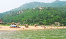 游小白鹭沙滩记