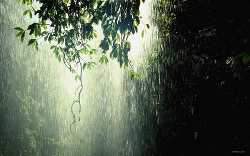夏天雨夜