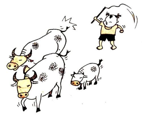 执着也是一种美