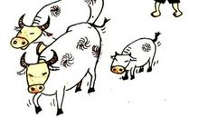 坚持也是一种美丽