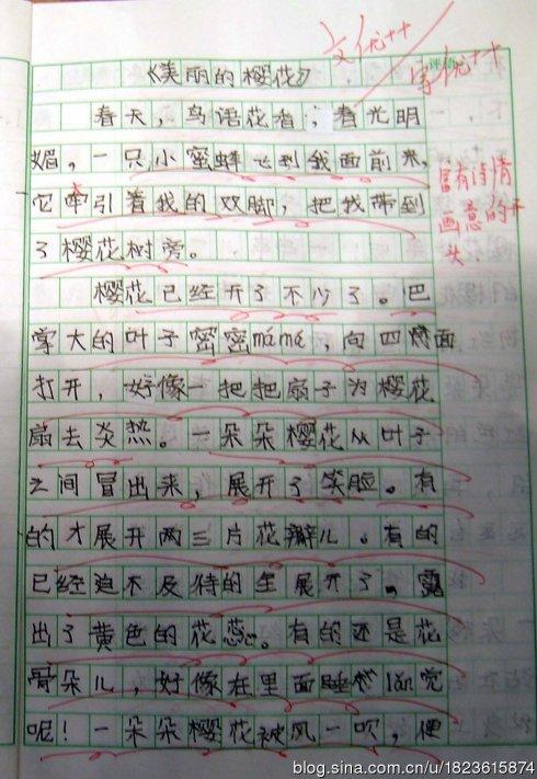 关于成熟的构图
