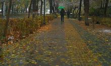 又是一年好时节