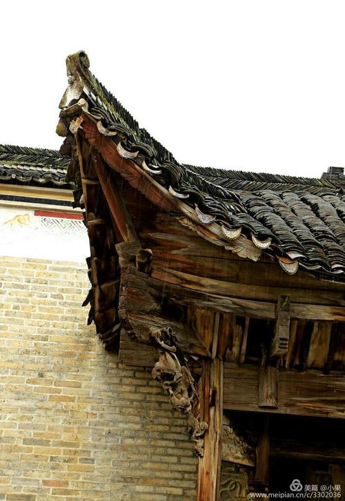 寻找春雨