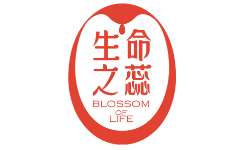 生活的核心