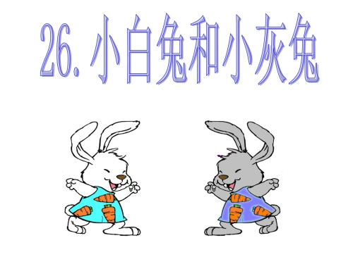 小白兔和小红狐狸