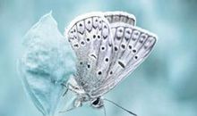 破茧而出的美丽