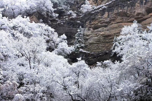 那白雪公主