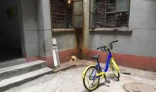 论共享单车的利弊