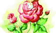 自动卷笔机的自述