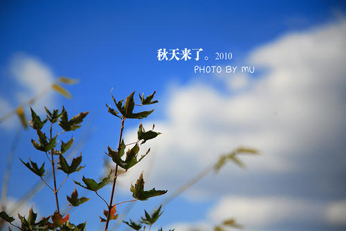 秋天很棒