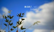 秋天真好