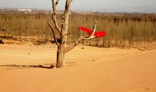 一个没有尊严的人