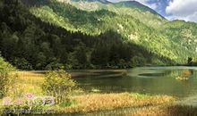 坚韧的你，执着的我