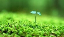 感谢您走进我的生命