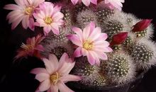 那一刻，惊心动魄