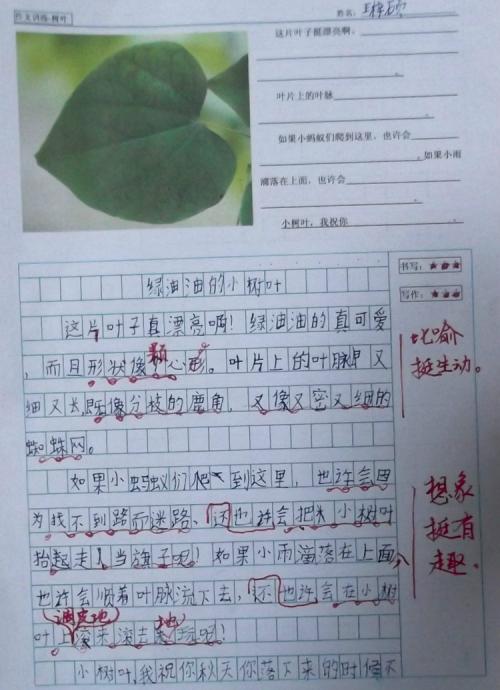 组成描述叶子