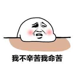 我的生活