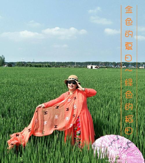 金色的夏天